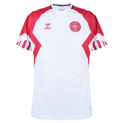 maillot-danemark-exterieur-euro-2024-qualifications-1