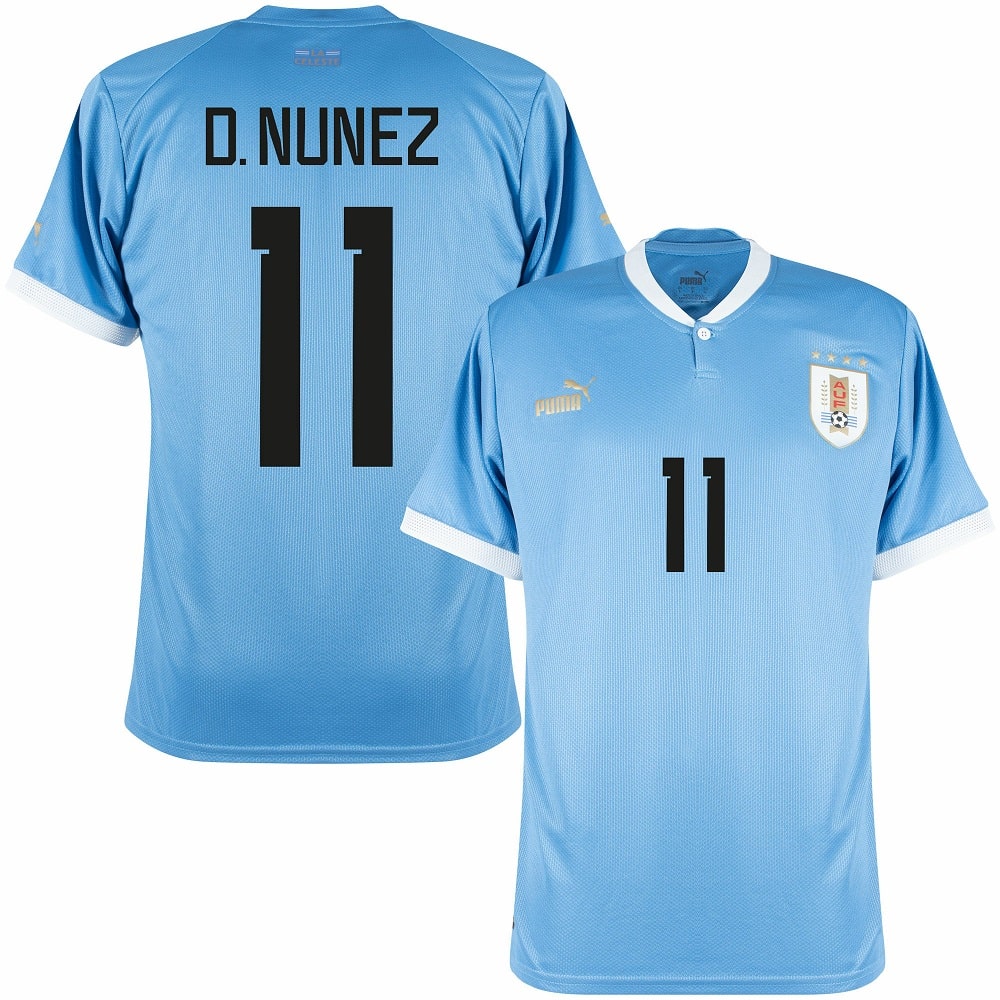 maillot-uruguay-domicile-2023-2024-d-nunez-1